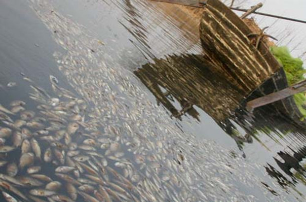 中國水污染事件頻發 亟待多方監管保障用水安全