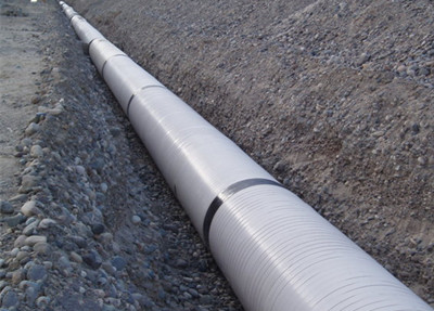 臉盆大小的排污管里污水源源不斷地涌入東新河