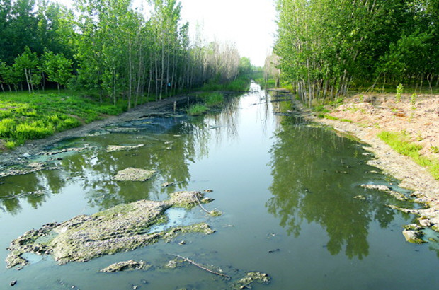 德州沙王河污染追蹤:沿線多個管道還在排黑水