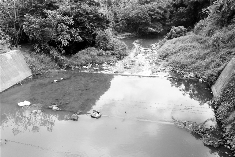 文昌市河水受污染 水體變黑發臭