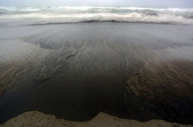 貨輪泄漏致海水污染海洋漁業部門追訴獲賠670萬