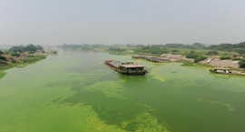 安徽巢湖環湖河流近半數為重度污染