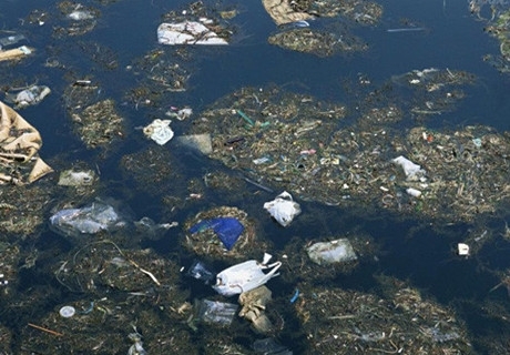 河南濮陽水污染事件