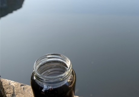 溫嶺石橋頭鎮河水污染事件