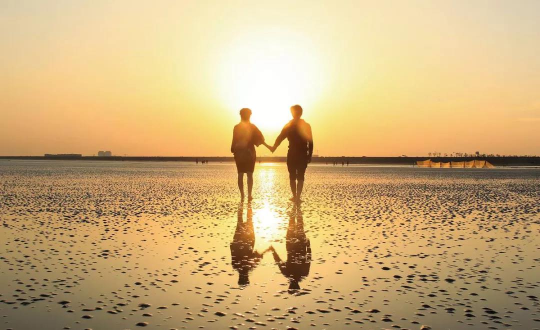 派斯——愛你的1314個理由